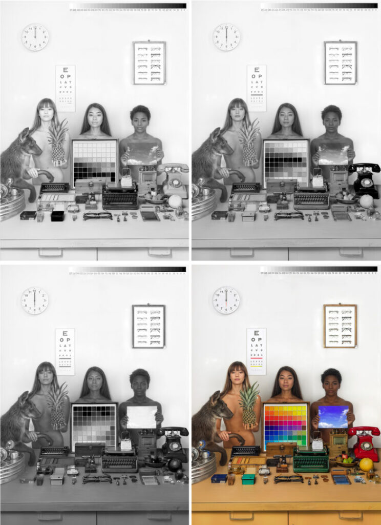 Dorota Walentynowicz